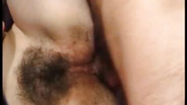 பிரேஸர்களில் இருந்து கவர்ச்சியான மினி ஸ்டாலியனுடன் வாய்வழி திருகு