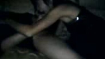 பெர்வ் நகரத்திலிருந்து கொம்பு ரிவர் ஃபாக்ஸுடன் ஷேவ் செய்யப்பட்ட வீடியோ