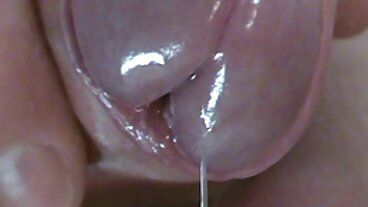 பேங் பிரதர்ஸின் கவர்ச்சியான ஸ்லோன் ஹார்ப்பருடன் கம்ஷாட் செக்ஸ்